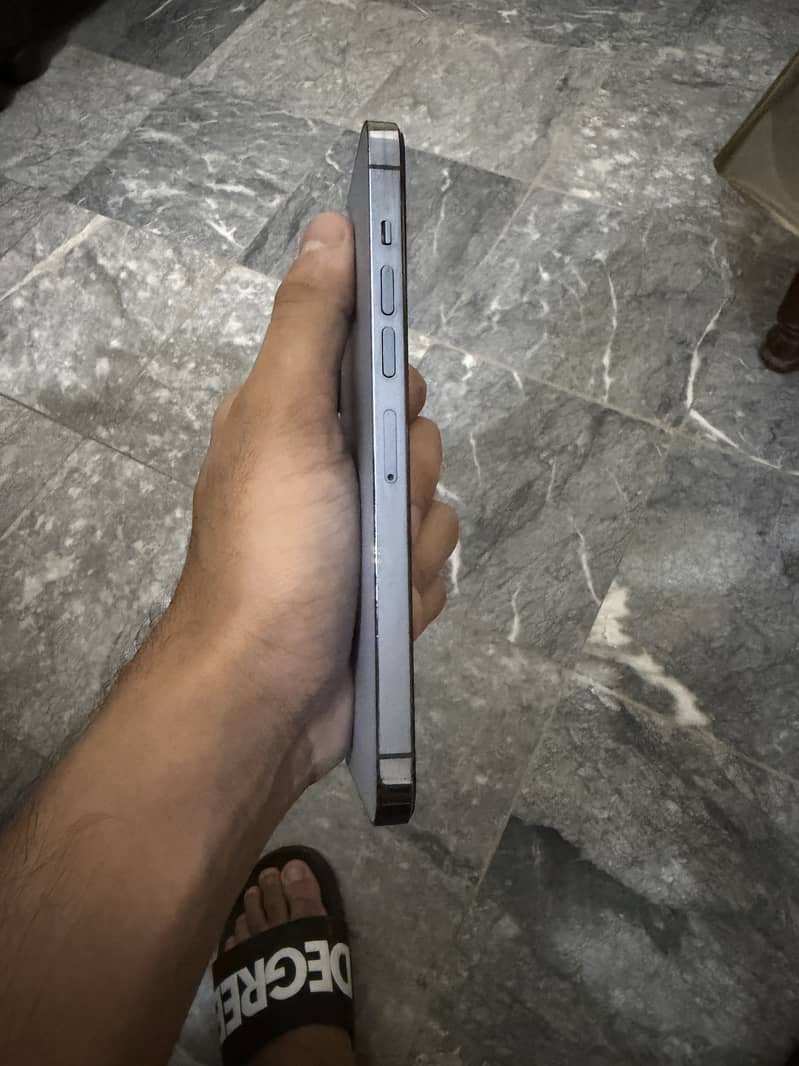 Apple iPhone 13 Pro Max 1