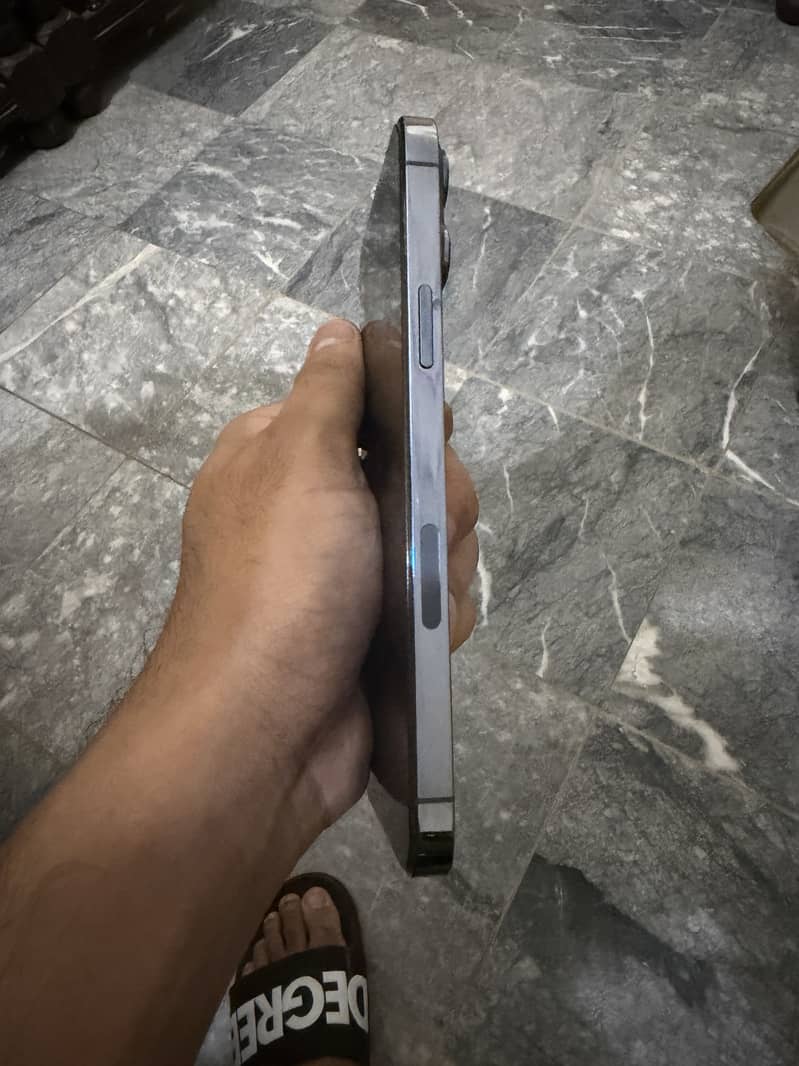 Apple iPhone 13 Pro Max 3