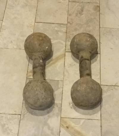 Two Dumbells for sale