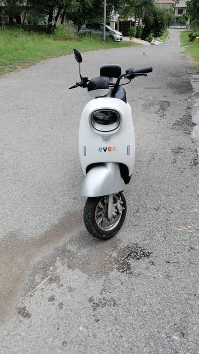 Evee Nisa 2025