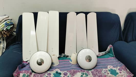 Fan For Sale