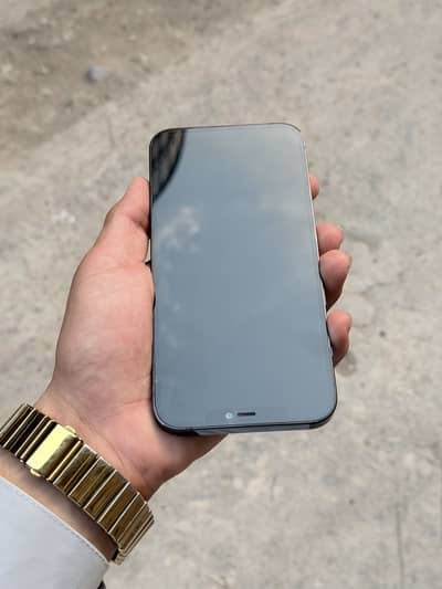 Apple iPhone 12 Pro Max