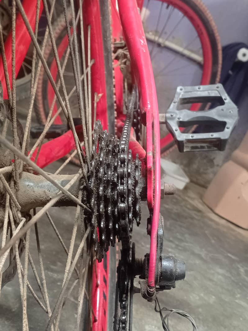 BICYCLE MOUNTAIN 2