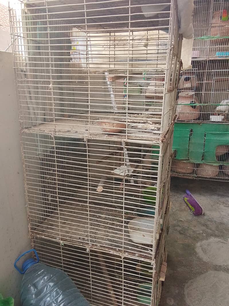 6 portion angle cage available 2