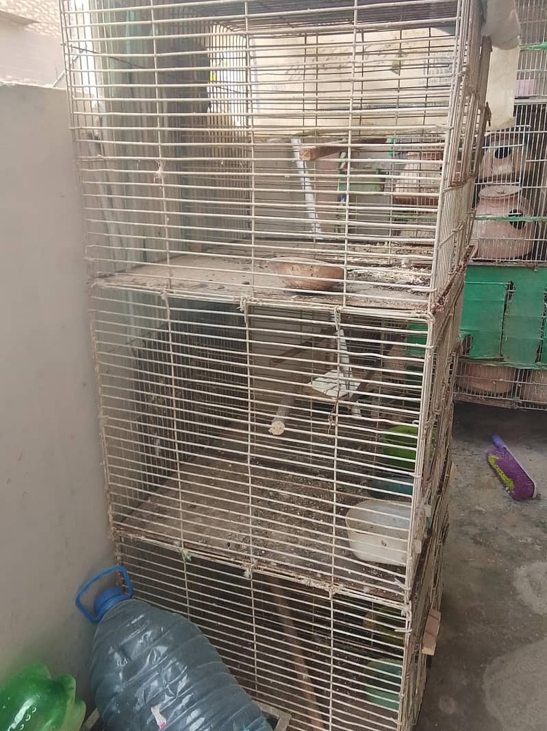 6 portion angle cage available 3