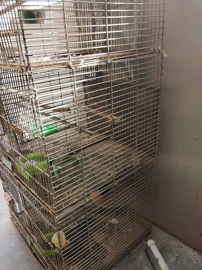 6 portion angle cage available 4