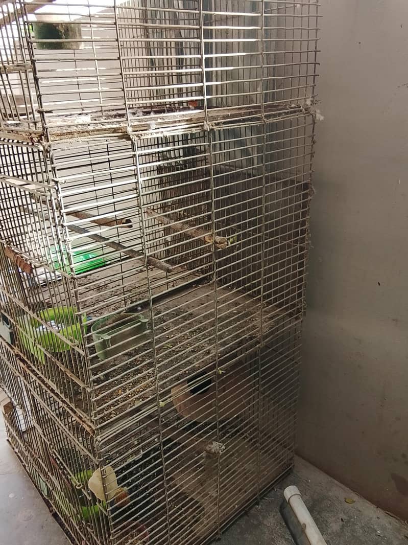 6 portion angle cage available 5
