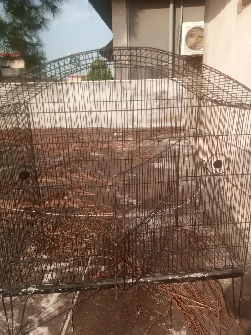 large size Cage For Sale