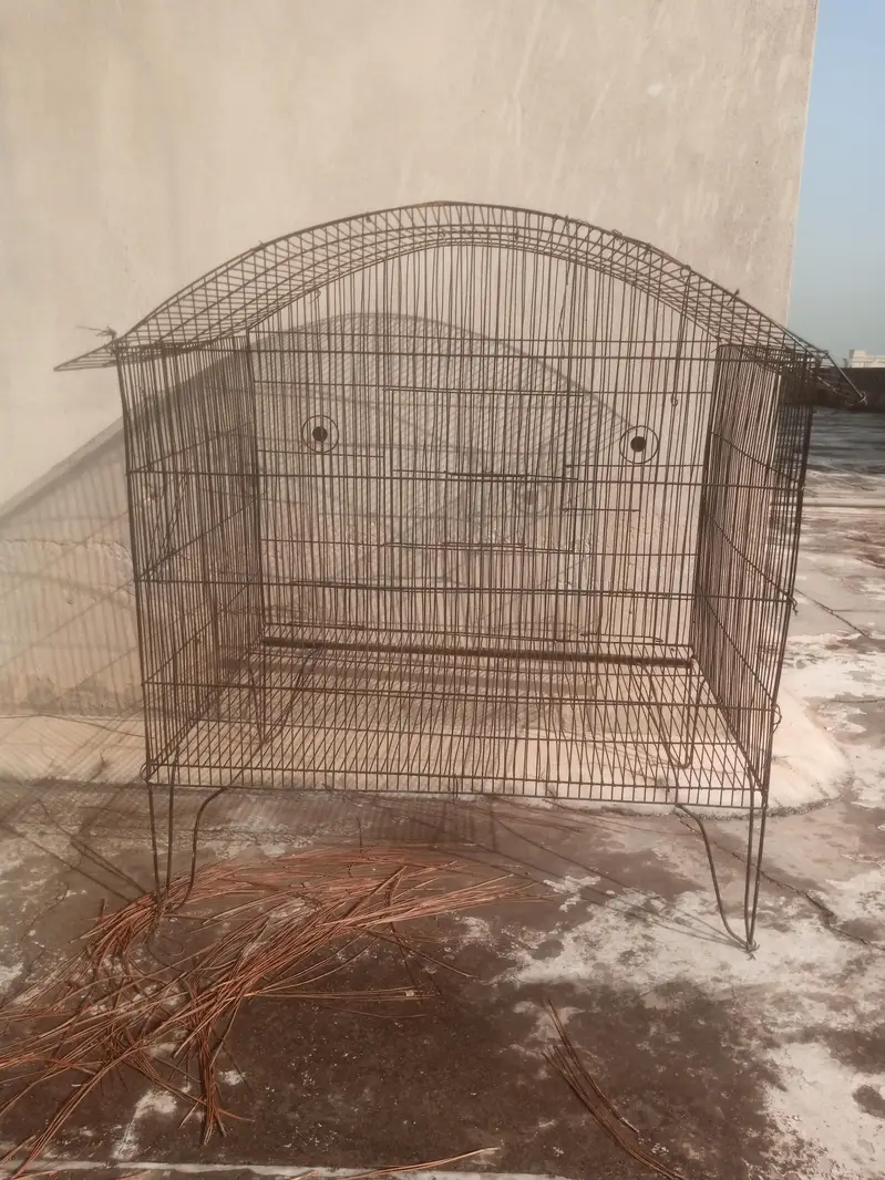 large size Cage For Sale — photo 2