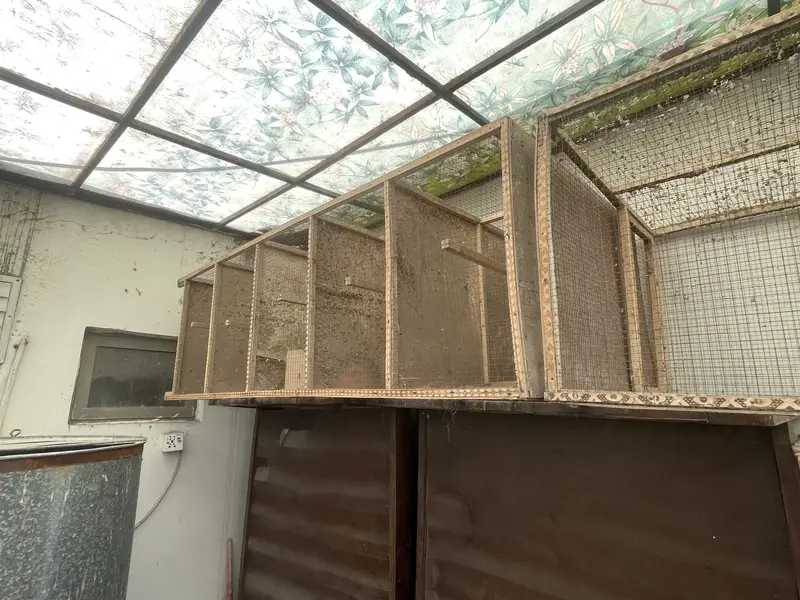 Cages for sale 6.5 x 3 feet — photo 3