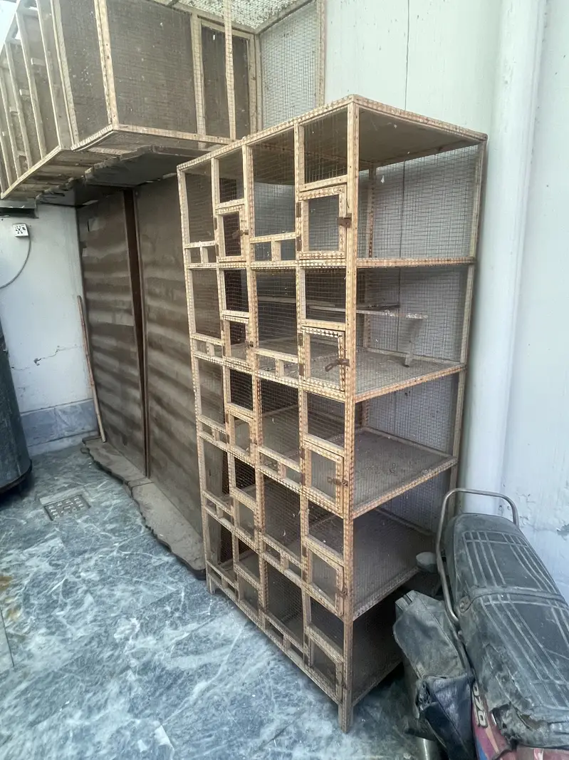 Cages for sale 6.5 x 3 feet — photo 8