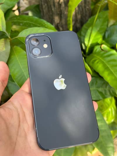 Apple iPhone 12