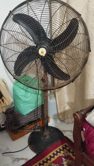 pak stand fan