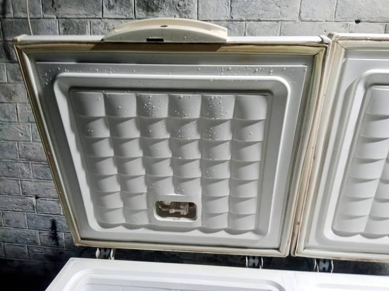 waves freezer 2door 6