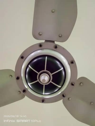 celling fan