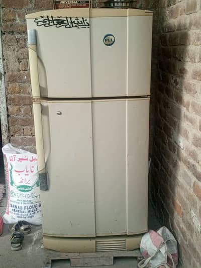 PEL fridge
