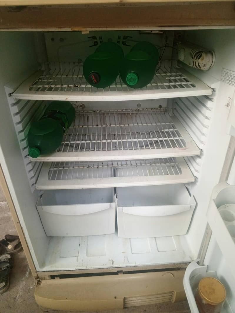 PEL fridge 1
