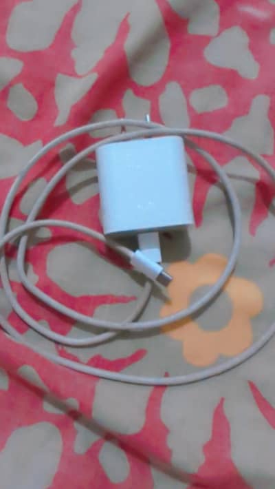 17 pro max cable and charger