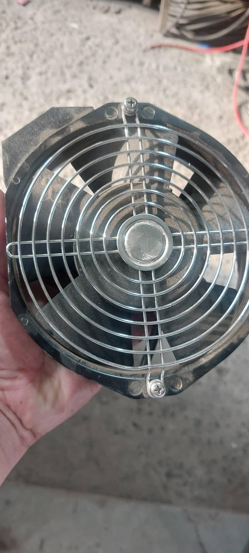 6"fans 0