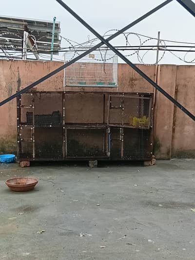cage for hens or pegions oer parrots