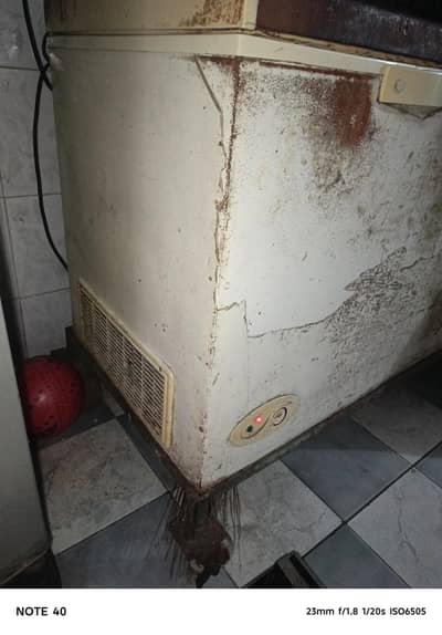 Wave full size freezer