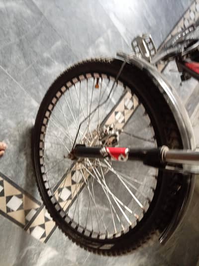 morgan cycle 24 inch