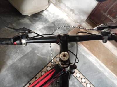 morgan cycle 24 inch