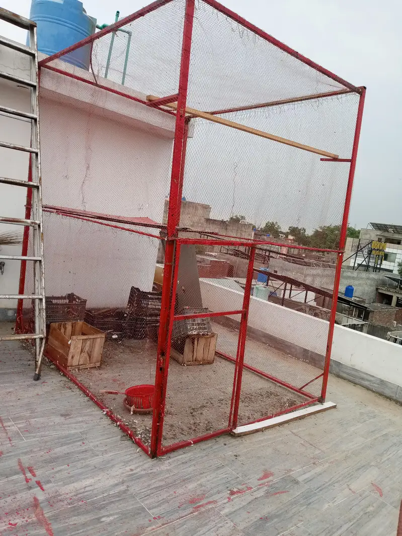 pigeon cage — photo 2
