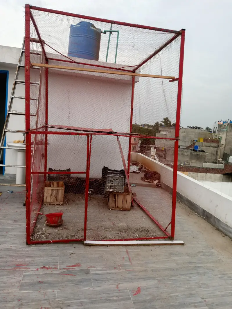 pigeon cage — photo 3