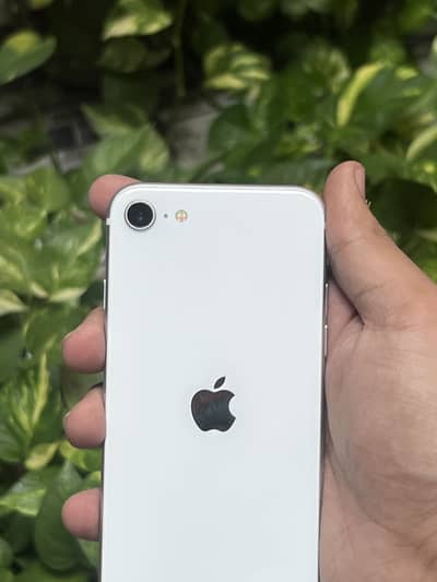 IPhone SE 2020 (PTA approved )