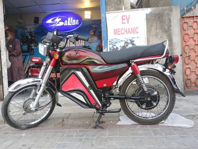 Pak zone electric bike