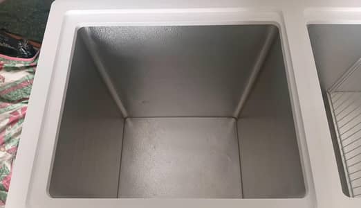 D Freezer