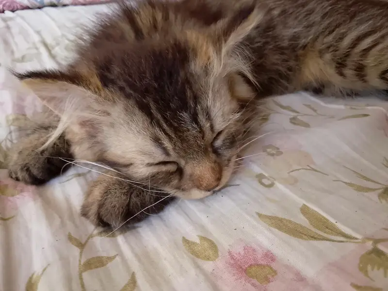 she is so cute