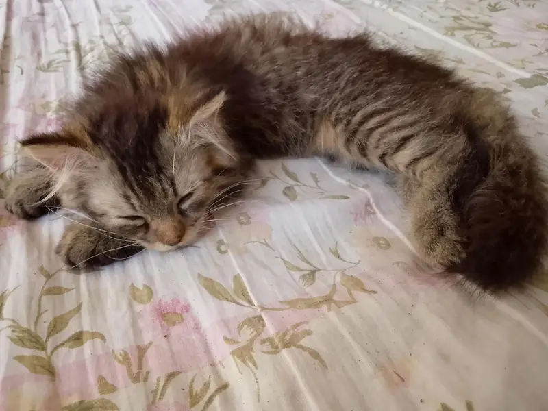 she is so cute — photo 2