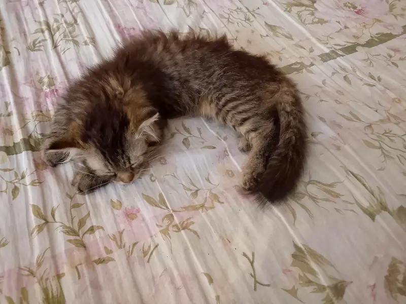 she is so cute — photo 3