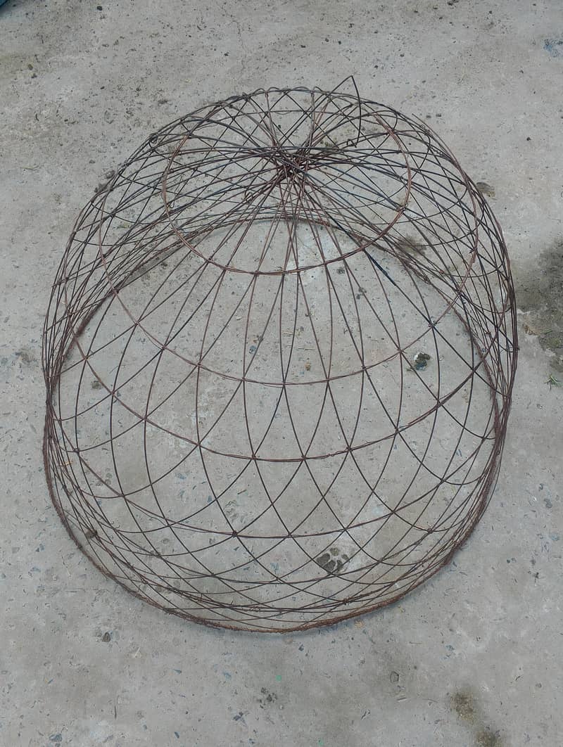 Hens cage 0
