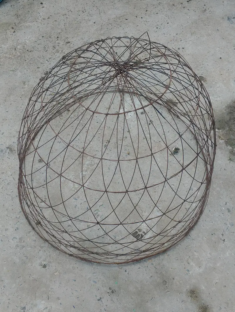 Hens cage
