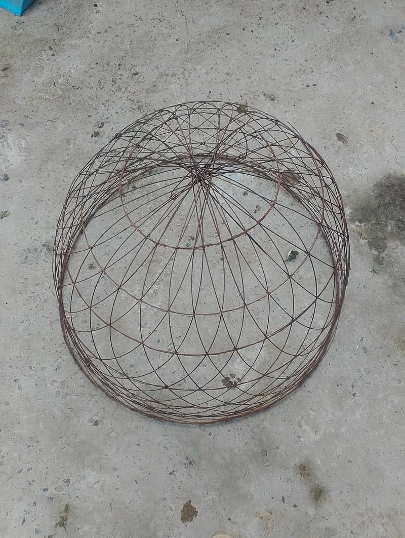 Hens cage 1