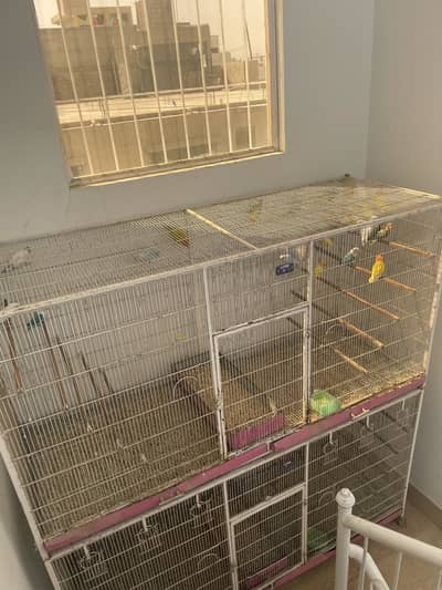Birds Cages For Sale
