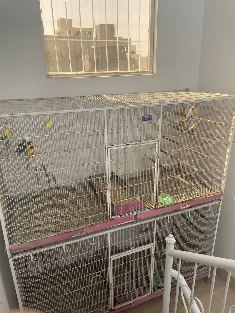 Birds Cages For Sale — photo 2