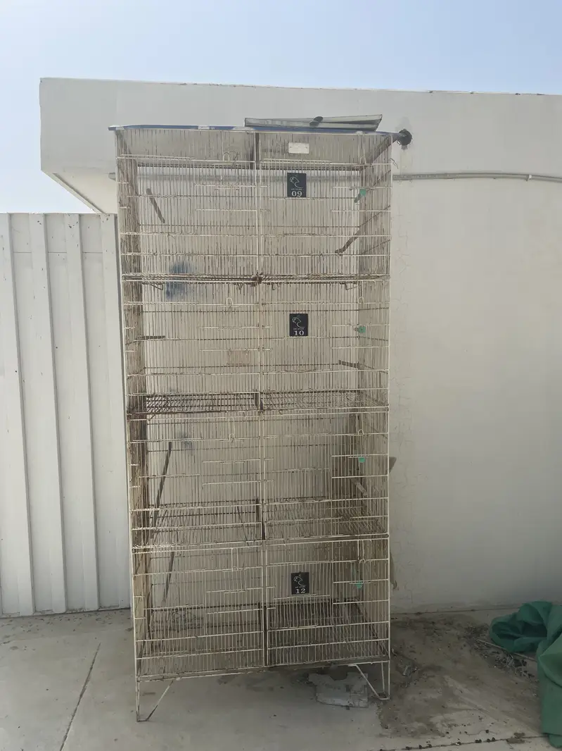 Birds Cages For Sale — photo 4
