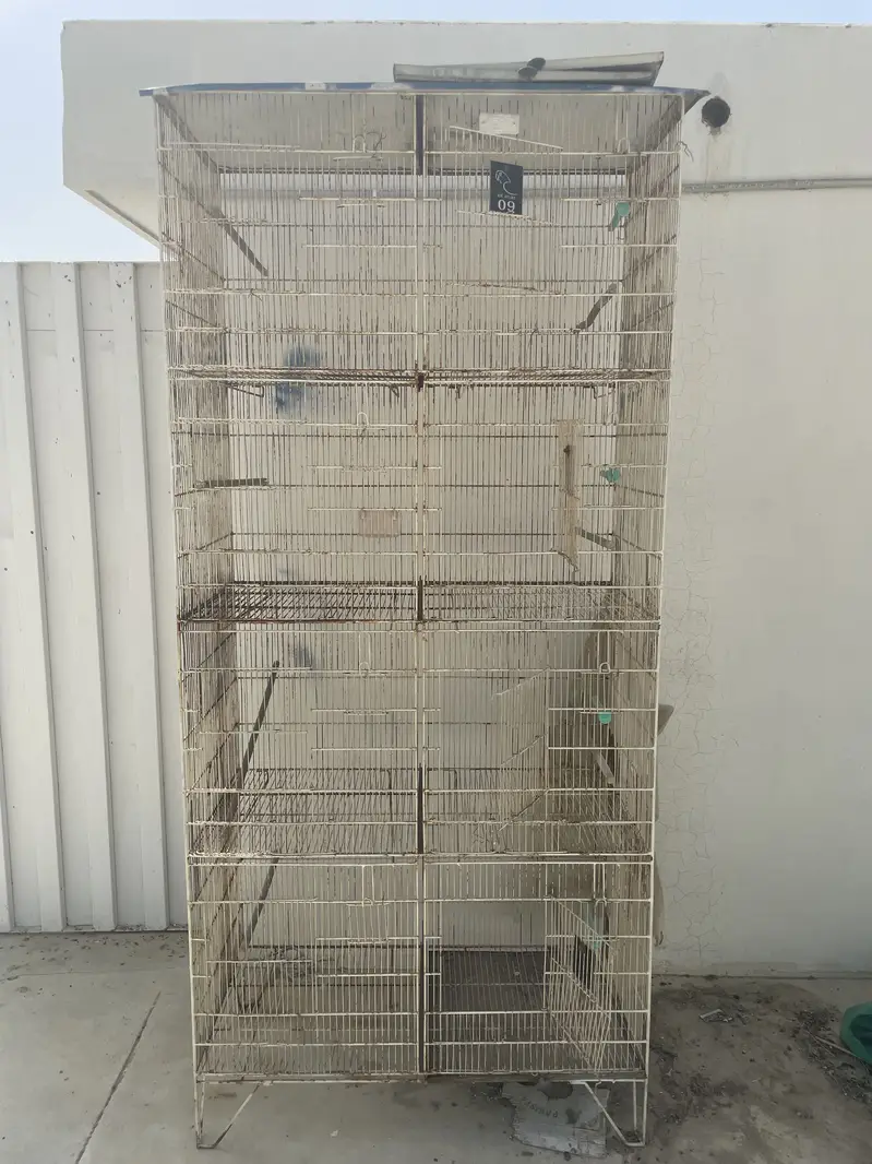 Birds Cages For Sale — photo 5