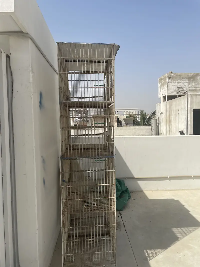 Birds Cages For Sale — photo 6