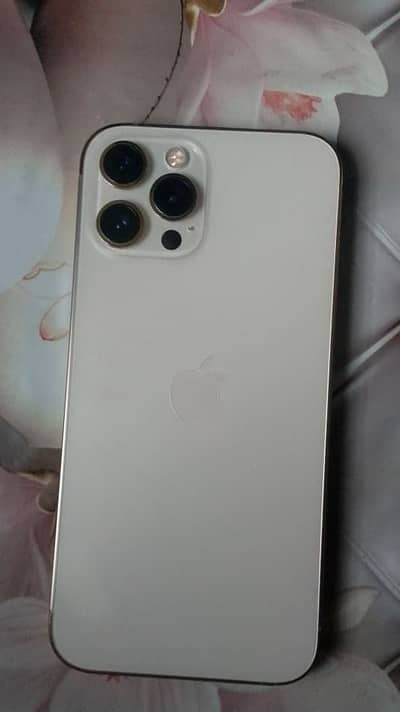 Apple iPhone 12 Pro Max