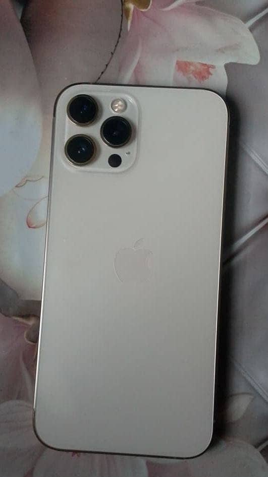 Apple iPhone 12 Pro Max 0