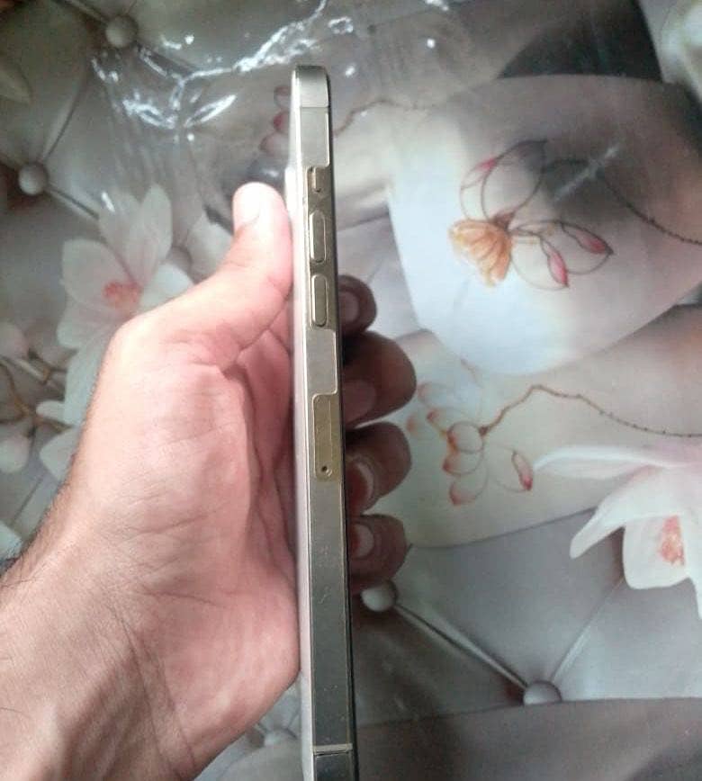 Apple iPhone 12 Pro Max 1