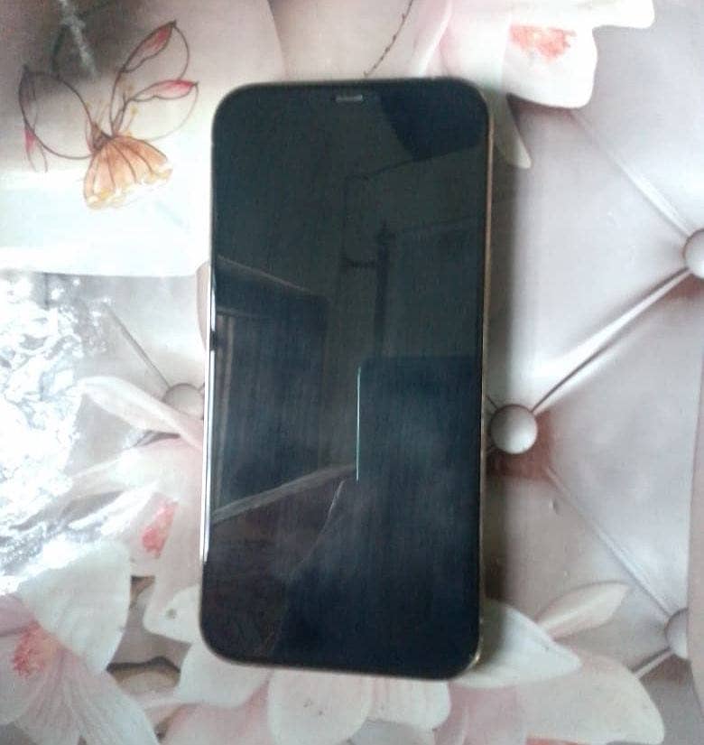 Apple iPhone 12 Pro Max 2
