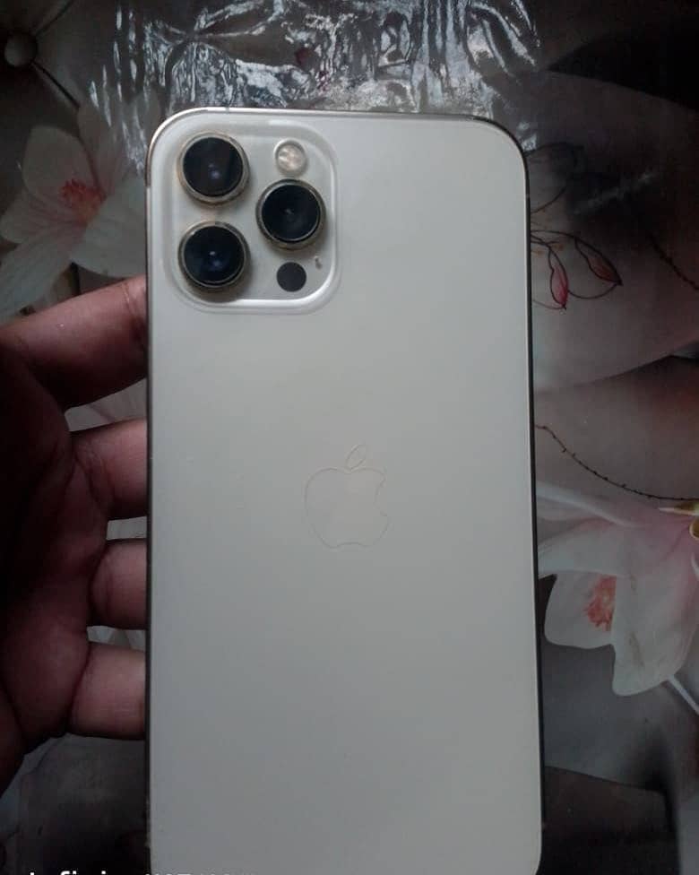 Apple iPhone 12 Pro Max 4