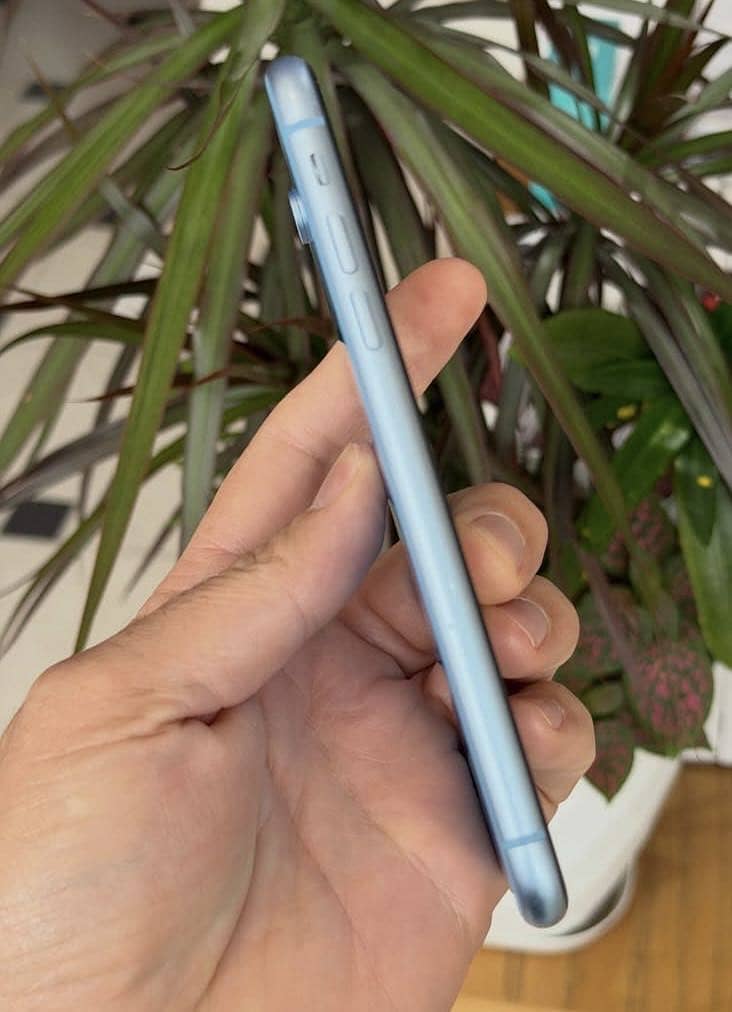 Apple iPhone XR 1