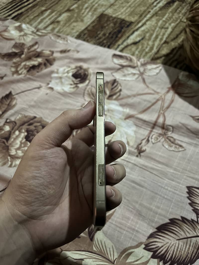 Apple iPhone 12 Pro 1